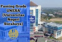 passing grade unesa