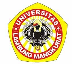 logo unlam